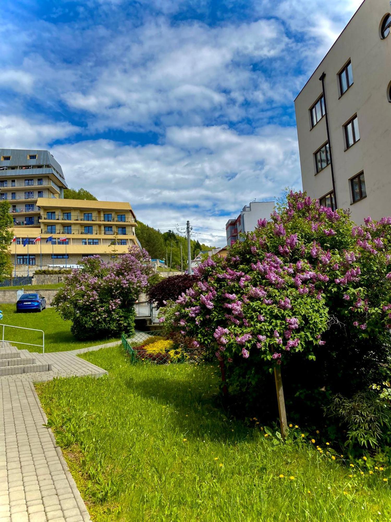 Cristal Apartament Krynica - Zdrój Exterior foto